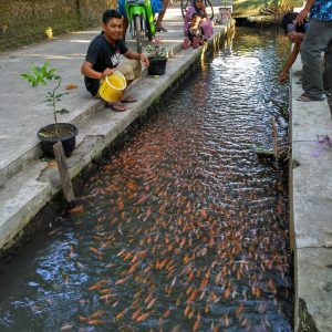 selokan bersih klaten