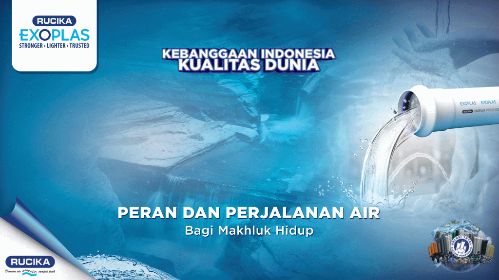 Peran dan Perjalanan Air Bagi Makhluk Hidup