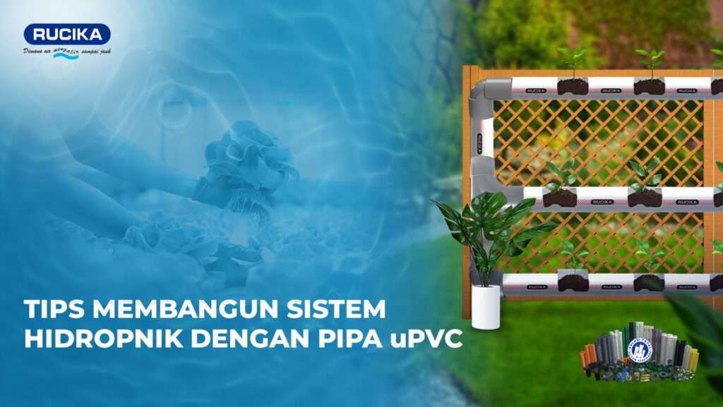 TIPS MEMBANGUN SISTEM HIDROPONIK DI RUMAH MENGGUNAKAN PIPA PVC