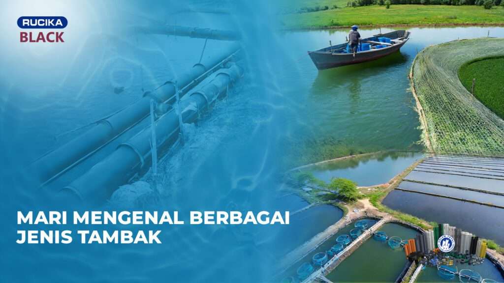 Mari Mengenal Berbagai Jenis Tambak