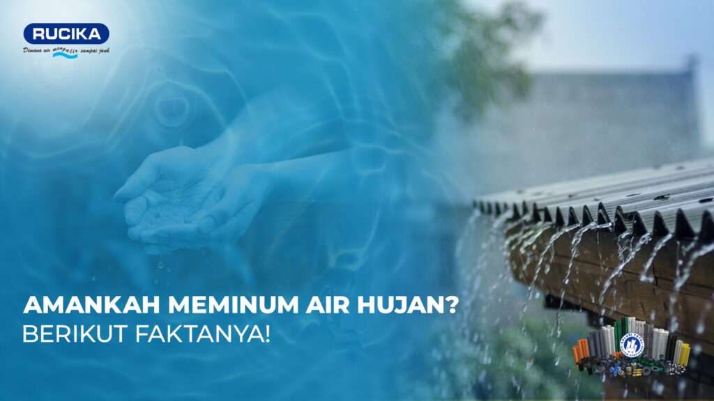 Minum Air Hujan